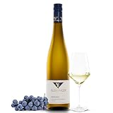 2023er Riesling Großheppacher Steingrüble Kabinett – 2. Platz „Best of Riesling“ | Fruchtiger Biowein mit Aromen von Aprikosen und Pfirsichen | Weißwein Halbtrocken aus Württemberg
