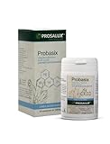 PROBASIX 40 Tabletten zu 1000 mg
