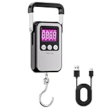 Yabdbg Fischwaage,132lb/60kg Gepäckwaage Hängewaage Angelwaage mit Beleuchtetem LCD-Anzeige,Digitale Kofferwaage mit Großem Griff,Postwaage Edelstahl Panel Wiederaufladbar für Reisen,Familien