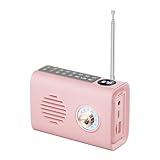 PAMENET Tragbares Mini-FM-Radio, Solarradio im Freien, Bluetooth-Lautsprecher mit buntem Licht, Unterstützung für Anrufe - B