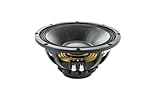Eighteen Sound 10NW750-8 Neo Mid Bass 25,4 cm Hochmoderner Tieftöner mit Neodym-Magnetstruktur