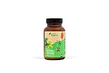 Rhizoplus GemüseVital - Natürliche Bodenbakterien