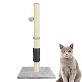 80 cm Hoher Katzenkratzbaum, StandardausfüHrung Mit Baumelndem Spielzeug, Modernes KatzenmöBel, Weiche PlüSchbasis, Mit NatüRlichem Sisal-Stabiler Kratzbaum, füR Kleinere, Spielzeug