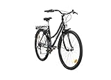 Multibrand Distribution Probike 26 Zoll City Fahrrad Urban Cityräd 6-Gang Damen, Herren, Mädchen, geeignet ab 155 cm - 175 cm (Schwarz glänzend)