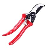 DECHOUS Professionelles Pfropfwerkzeug Satz Gartenschere aus Rostfreiem Stahl mit Hoher Schnittgeschwindigkeit für Baumpfropfung und Gartenpflege