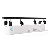 Lightbox Deckenlampe LED 6 flammig | Decken-Strahler mit schwenkbaren Spots | Lampe für Wohnzimmer, Küche oder Schlafzimmer (innen) | 6 x GU10 Fassung | aus Metall in Schwarz