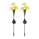 2 Stück solarbetriebene Narzissen-Gartenlichter, für den Außenbereich, wasserdicht, IP65 LED-Blumenlampen, dekorative Blumenlampe für Weg, Hof, Terrasse (weiß)