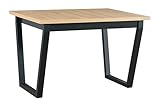 LeafDesign Esstisch, Stilvoller moderner, Langlebiger, Rechteckiger Tisch, Für 4-8 Personen, Made in EU, „Ikon 2 S“ (120x80x77)