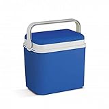 Kühlbox | Passive Kühlbox | Kühltaschen aus Kunststoff mit polystyrol thermische Isolierung (10 L, Blau)