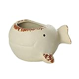 Fenteer Niedlicher Sukkulenten-Pflanztopf in Tierform, Blumentopf, Ornamenthalter, Blumentopf, Bonsai-Kanister für Fensterregal, Weiß