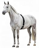 Hunters Saddlery Deluxe Longiergurt aus gepolstertem Nylon für Pferde – Größe Warmblut (Full)