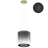 FIREGAS Dunstabzugshaube, Insel-Dunstabzug Freihängend, 360 m³/h Luftstrom, Abluft/Umluft Dunstabzug zur Deckenmontage, Dunstabzugshaube mit 9 Stufen, Timer, Aktivkohlefilter