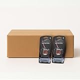 Autolufterfrischer 100er Box – Peach & Honey – Großpackung für Wiederverkäufer & Unternehmen, Warmer Duft aus Pfirsich & Honig