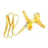 Gatuida Verstellbares Hundegeschirr mit Leine Set Westeartiges Brustgeschirr für Kleine und Mittelgroße Hunde und Katzen Strapazierfähige Leine Komfortables Druckreduzierendes Design für