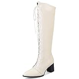 Gicoiz Damen Blockabsatz Schnüren Knee High Pointed Toe Motorradstiefel Chunky Winter Draußen Mode Strappy Warm Chukka Stiefel Beige Gr 35 EU