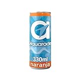 Isotonisches Getränk Orange Dose 33 cl. 12er Pack