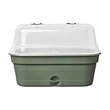 elho Green Basics Anzucht Schale Allin1 32 - Anzuchtset - 100% recyceltes Plastik - Ø 32.0 x H 13.2 cm - Grün/Laubgrün