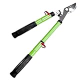 GARDENWORK Leichte Astschere Teleskop(43-58CM),Bypass Astschere mit Klingen aus SK5-Legierung,Professionelle Astscheren für Obstbäume, Abgestorbene Äste,Sträucher,Gummigriffe,Schneidet 5CM Äste