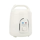 1,5 l explosionsgeschützte Saunen, Spa, 850 W Generatoren, Dampftopfmaschinen, elektrische Eator-Werkzeuge, halten die Gesundheit, verlieren Gewicht Für Home Spa