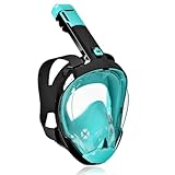 Riebex Tauchmaske Erwachsene Vollmaske mit 180°Vollgesichtsmaske HD-Antibeschlag CO2-Sicher mit Aufbewahrungstasche - Schnorchelmaske (Grün, L/XL)