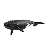 schleich 14878 Nordatlantischer Glattwal, ab 3 Jahren, WILD LIFE - Spielfigur, 10 x 19 x 5 cm