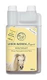 Annimally Leber Nieren Liquid für Pferde - 1000ml Kräutersaft mit Mariendistel & Artischocke für die Leber - Nierensaft für einen gesunden Stoffwechsel beim Pferd