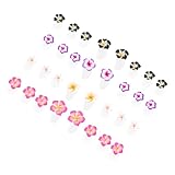 LOLIPPYY 32 Stück Zehenspreizer aus Silikon Nagellacktrenner für Pediküre Bunter Zehentrenner Geeignet für Nailart und Familiennutzung