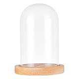 nbeads Deko Glasglocke mit Holzboden, Transparente Glasbox Glas-Display Klare Dekorative Glas Deko Vitrine mit Tablett für Valentinstag Ewige Rose Lichterketten Kuchen afelschmuck und Antiquitäten