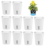 GDWD 10er Set Selbstwässernder Blumentopf, Selbstbewässerung Topf mit Wasserstandsanzeiger, Bewässerungstopf, Kräutertopf, Bewässerungssystem für Innen- und Außenbereich (7.5cm)