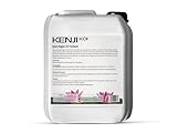 KENJI KOI Anti Algen UV Schutz 5L für 400000 L Teichwasser | Teichpflege gegen Fadenalgen und grünes Wasser | Anti Algen UV Schutz | Teichwasseraufbereiter für klares Wasser