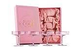 Vintage Art Deco Gerippte Coupe Gläser in Zartem Rosa mit Goldrand | 4er Set | 200 ml Cocktailgläser für Champagner, Espresso Martini, Cosmopolitan, Daiquiri | Speakeasy Kristall Champagnerschalen
