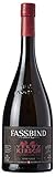 Fassbind Vieux Kirsch (1 x 0.7 l) - Edler Schweizer Obstbrand aus reifen Kirschen mit 40% vol. Alkohol