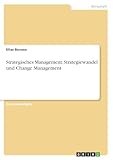 Strategisches Management. Strategiewandel und Change Management