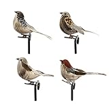 YOUDALIS Künstliche Vögel,Künstliche Vogel mit Feder und Clips,Simulation Schaum Vogel für Weihnachtsbaum Hochzeit Hausgarten Party Dekoration 4 Stück,Zufällige Farbe