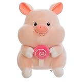 Schwein Plüschtier Kuscheltier,Spielzeug Schlafen Umarmung Kissen,Groß Schwein Stofftier Riesen Kuscheltier,Kissen Schwein Kinder Kissen,Weich Jumbo Plüsch Spielzeug,Geschenk für Kinder (38 cm)