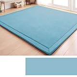 Weicher Korallensamt-Teppich, waschbar, für Wohnzimmer, Schlafzimmer, Esszimmer, modern, 2 cm dick, perfekt für Yoga, 180 x 200 cm