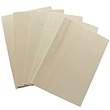Sperrholzplatten Pappel - hochwertige Multiplex Platte - Holz zum Basteln - Holzplatten für Bastelarbeiten - Holzzuschnitte - 10 Stück (A5 | 210 x 148 x 4 (+-0,5) mm, 10 Stück)