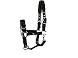 JF-Reitsport Kappzaum Pro 4-Fach verstellbar weich und Stoßabsorbierend unterlegt Minishetty, Schwarz
