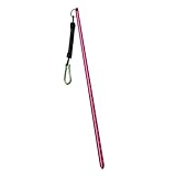 D DOLITY Aluminium Riffstab Taucher Zeigestab mit 34 cm Spiralverlängerung bis 65cm Karabinerhaken für Tauchen Schnorcheln Unterwasser Sport - Rose Rot