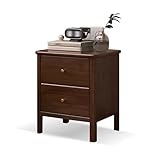 Nachttische Retro Zwei Schubladen für Schlafzimmer Gummiholz Seitenschrank für Wohnzimmer für Schlafzimmer (Farbe: Nuc