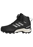 adidas Terrex Winter Mid BOA RAIN.RDY Hiking Shoes Wanderschuhe, Core Black/Silver/Core Black, 36 2/3 EU