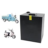 60V 30Ah 40Ah 50Ah 60Ah 80Ah 100Ah Motorradbatterie 60V ebike Batterie 60V Ersatzakku 60V Lithiumbatterie mit Ladegerät für elektrisches Dreirad(100Ah)