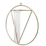 BESPORTBLE Glas Wandvase Kugelvase Blumenvase Goldfarben Dekorative Home Vase für Wohnzimmer Wanddeko Kreative Glasblumenvase mit Modernem Design