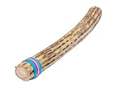 Fuzeau 3658 Regenmacher aus Kaktus, 50 cm