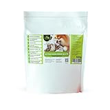 UltraClean Cats&Dogs Teppichreiniger Pulver zum Absaugen, Teppich Reinigungsmittel Pulver, Teppichpulver zum Reinigen von 10-15qm Teppichboden, 500g