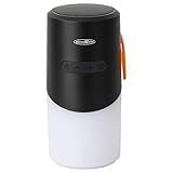 Reflexion BTX705 Bluetooth Lautsprecher Schwarz mit LED-Licht | Kabelloser Musikbox mit 40W Sound, IPX Schutz & MicroSD Slot | USB-C, 3 Std. Wiedergabe | Kompakt & tragbar