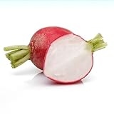 radieschen winterhart, balkonpflanzen winterhart hochbeet kräutersamen gemüsepflanzen dachbegrünung gartenpflanzen balkon deko kräuterpflanzen 100samen