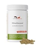 Futtermedicus Eibischwurzel | 100 g | Ergänzungsfuttermittel für Hunde & Katzen | Zur Unterstützung bei Schmatzen & Grasfressen, saurem Aufstoßen und nächtlicher Unruhe