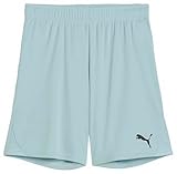 Puma teamGOAL Shorts Jr