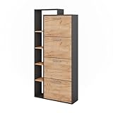 Vicco Schuhkipper Orlando, Goldkraft Eiche/Anthrazit, 80 x 166.1 cm mit 4 Fächern